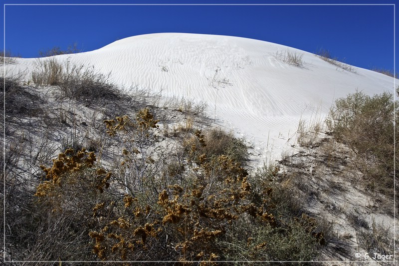 salt_basin_dunes_35.jpg