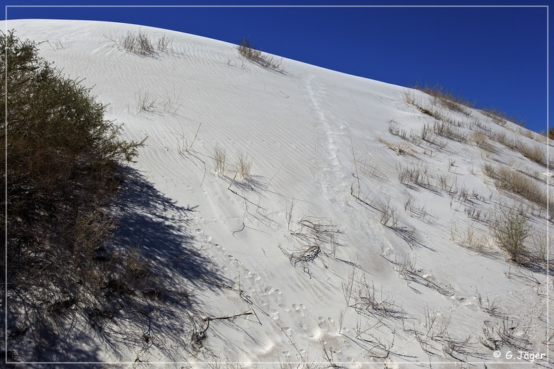 salt_basin_dunes_36.jpg