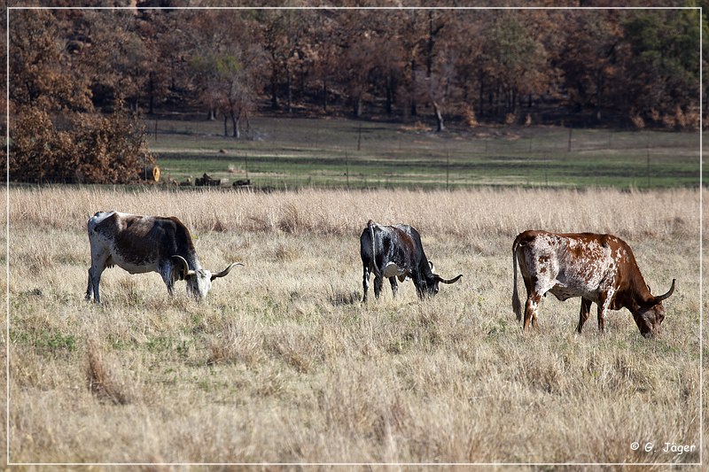 wichita_mountains_01.jpg