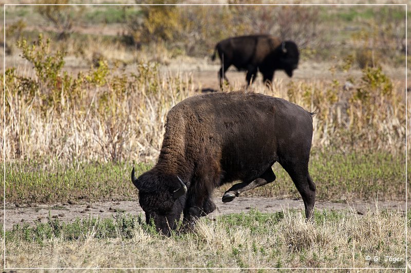 wichita_mountains_05.jpg