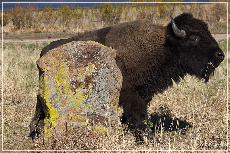 wichita_mountains_08.jpg