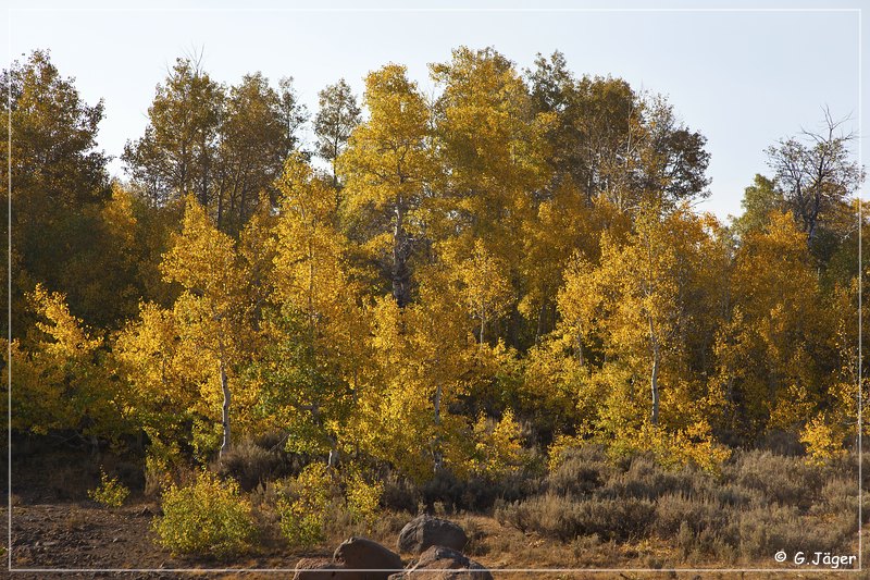 steens_mountain_07.jpg