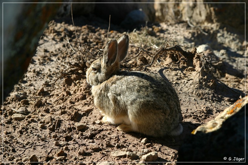 gooseberry_badlands_04.jpg