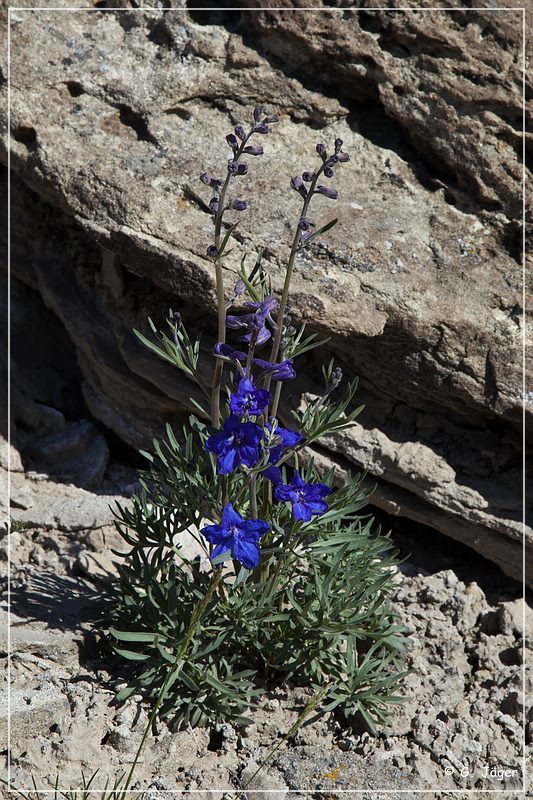 Gooseberry_Badlands_06.jpg