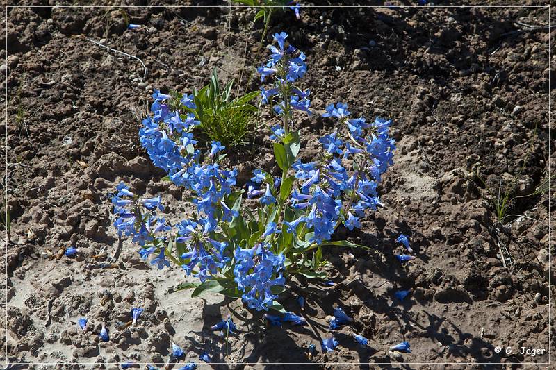 Gooseberry_Badlands_43.jpg