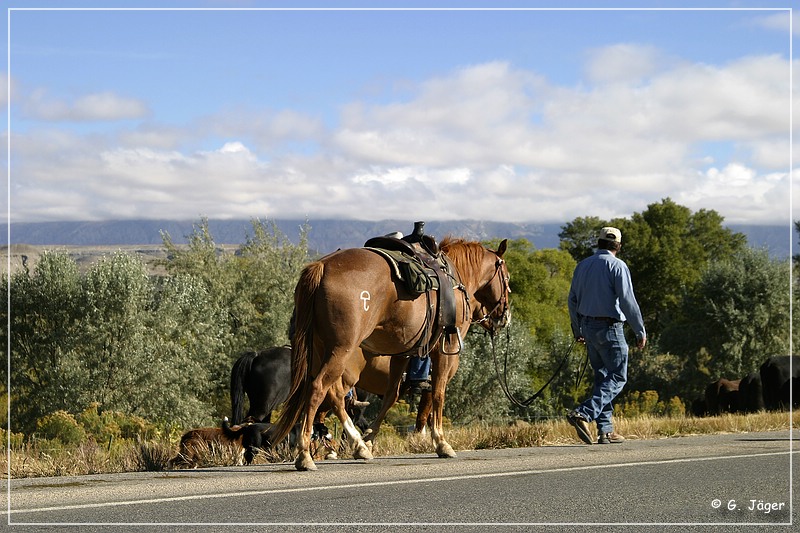 cowboys_wy_02.jpg