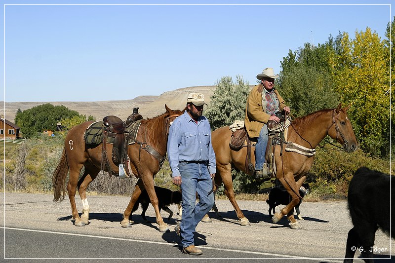 cowboys_wy_08.jpg