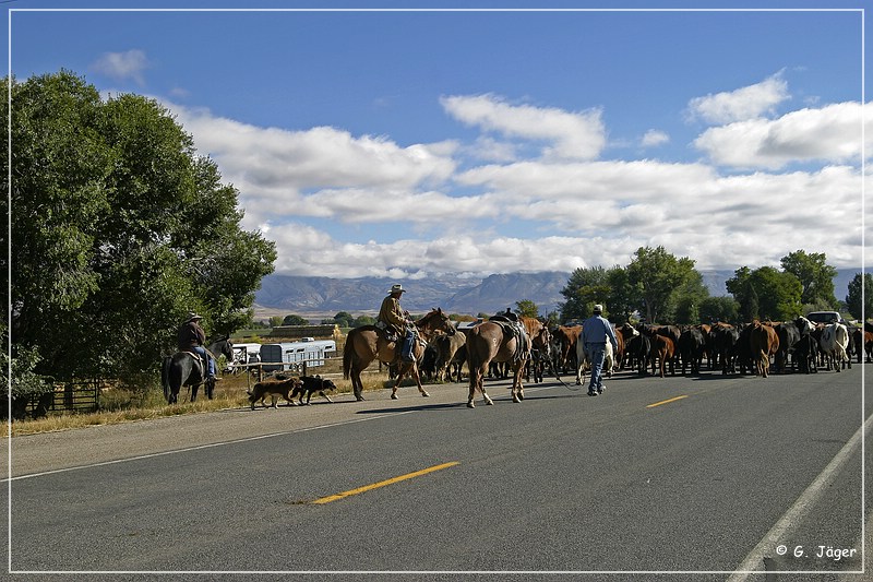 cowboys_wy_09.jpg