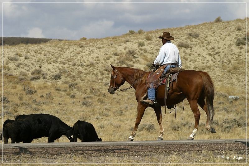 cowboys_wy_19.jpg