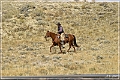 cowboys_wy_17