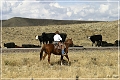 cowboys_wy_18