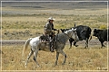 cowboys_wy_24