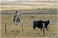 cowboys_wy_29