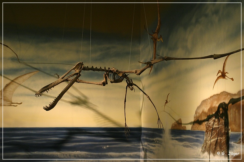 wyoming_dinosaur_center_06.jpg