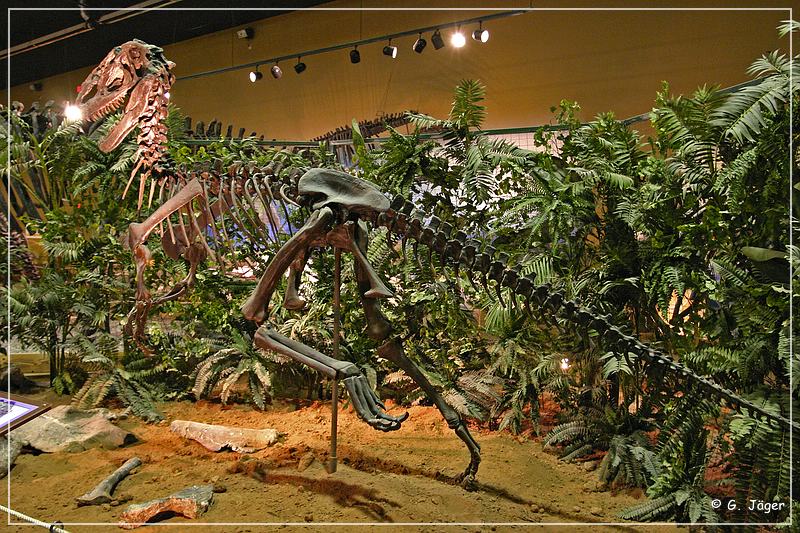 wyoming_dinosaur_center_09.jpg