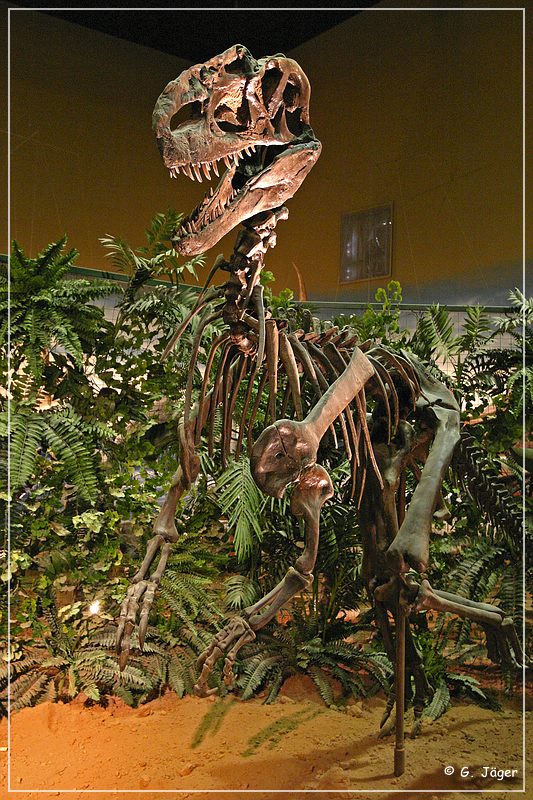 wyoming_dinosaur_center_10.jpg