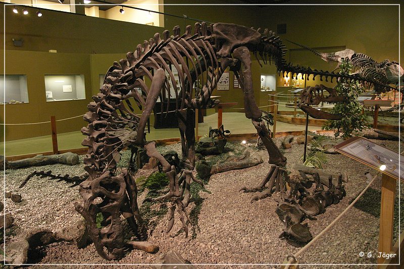 wyoming_dinosaur_center_17.jpg