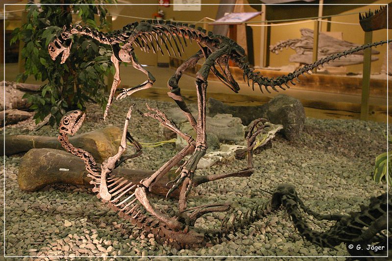 wyoming_dinosaur_center_18.jpg