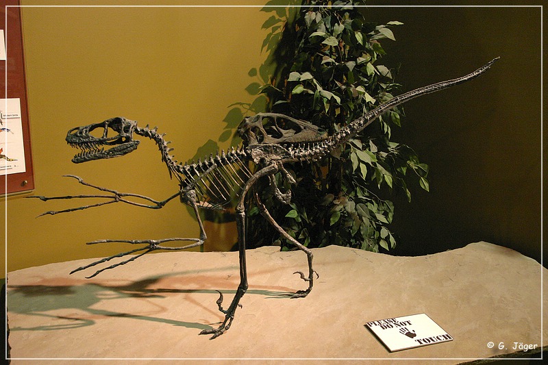 wyoming_dinosaur_center_22.jpg