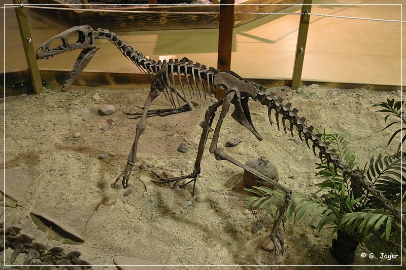 wyoming_dinosaur_center_23.jpg