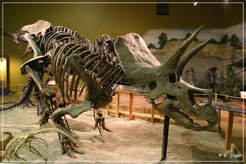 wyoming_dinosaur_center_27.jpg