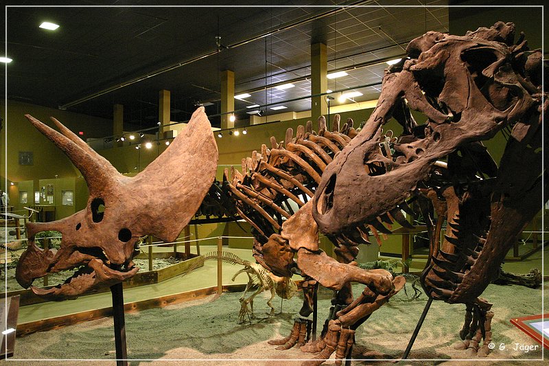 wyoming_dinosaur_center_31.jpg