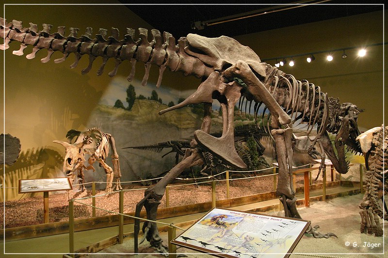 wyoming_dinosaur_center_33.jpg