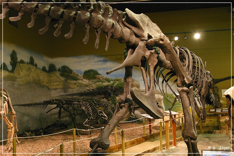 wyoming_dinosaur_center_34.jpg