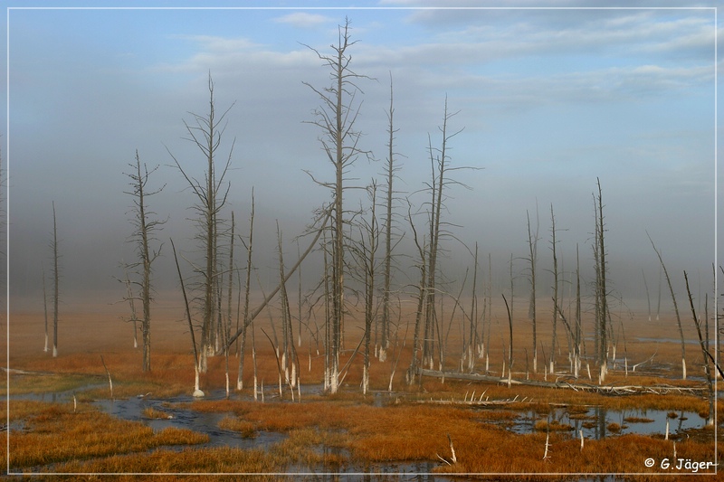 yellowstone_np_070.jpg