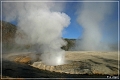 yellowstone_np_059