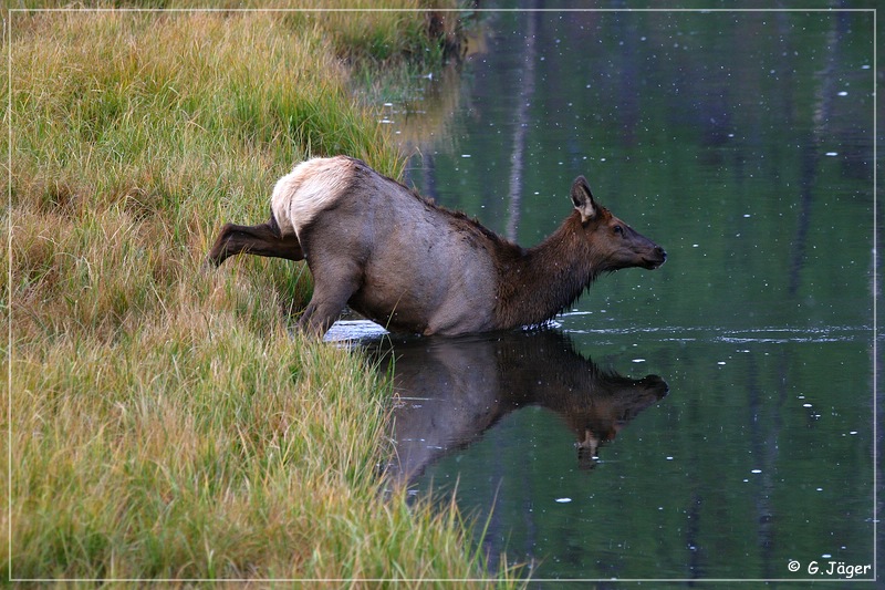 yellowstone_np_075.jpg