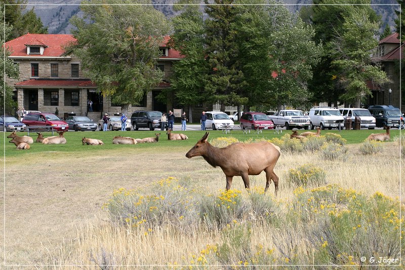 yellowstone_np_077.jpg