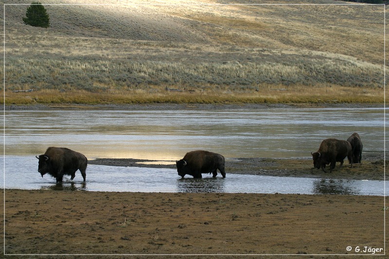 yellowstone_np_078.jpg