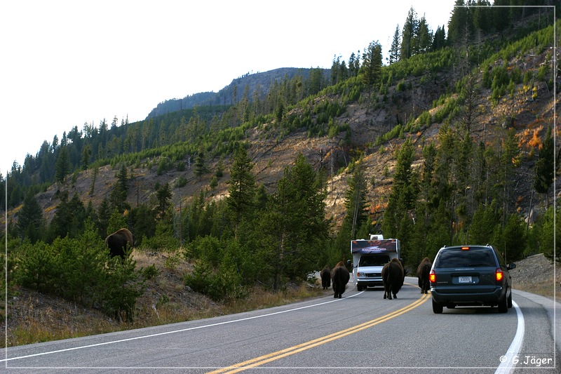 yellowstone_np_079.jpg