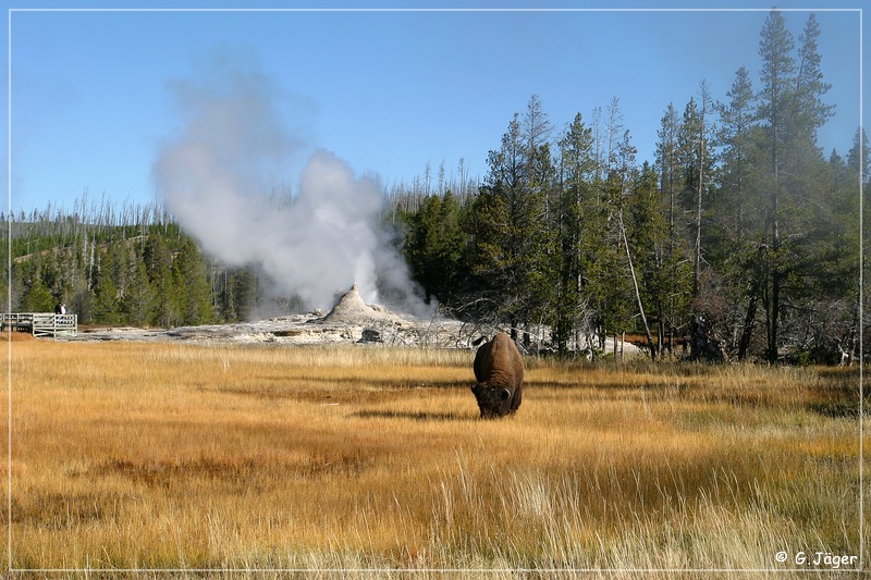 yellowstone_np_081.jpg