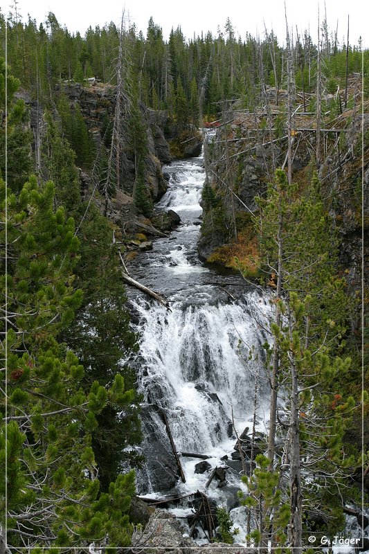 yellowstone_np_100.jpg