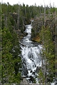 yellowstone_np_100