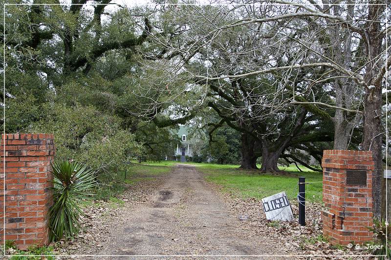 magnolia_plantation_11.jpg