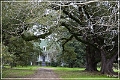 magnolia_plantation_12