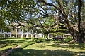 melrose_plantation_19