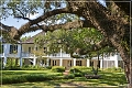 melrose_plantation_20