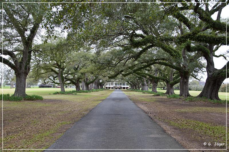 oaklawn_plantation_02.jpg