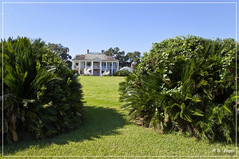 evergreen_plantation_10.jpg