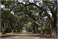 rosedown_plantation_12