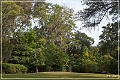 rosedown_plantation_22