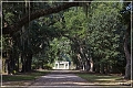 rosedown_plantation_28