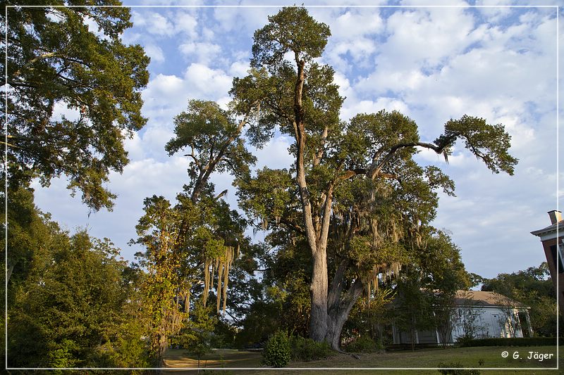 natchez_auburn_house_05.jpg