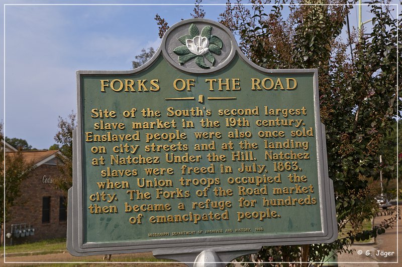 natchez_forks_road_05.jpg