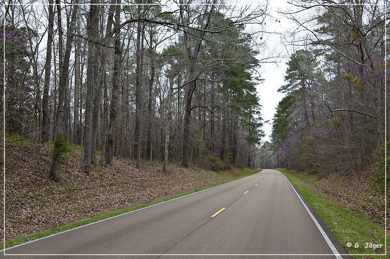 natchez_trace_parkway_ms_03.jpg