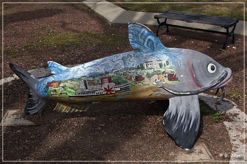 catfish_row_art_park_06.jpg